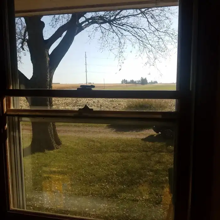 Clean residential windows in Waukee, IA - after professional cleaning