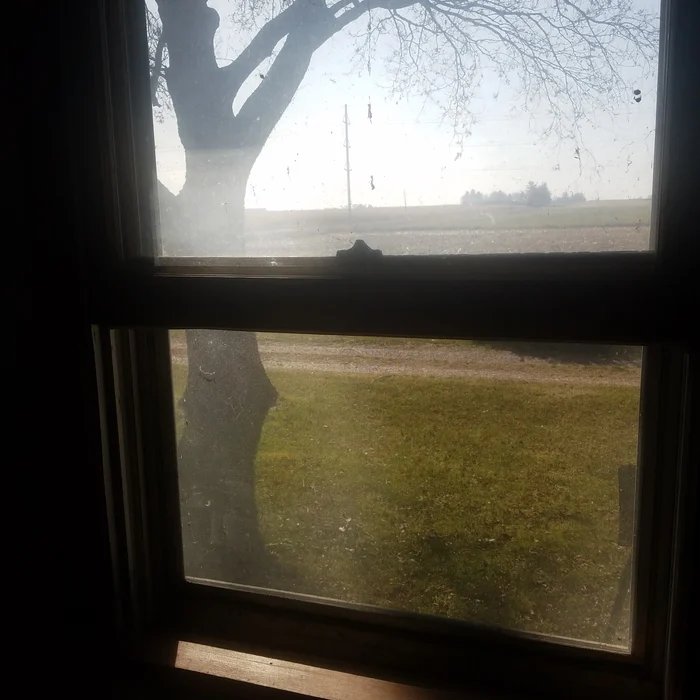 After professional window cleaning